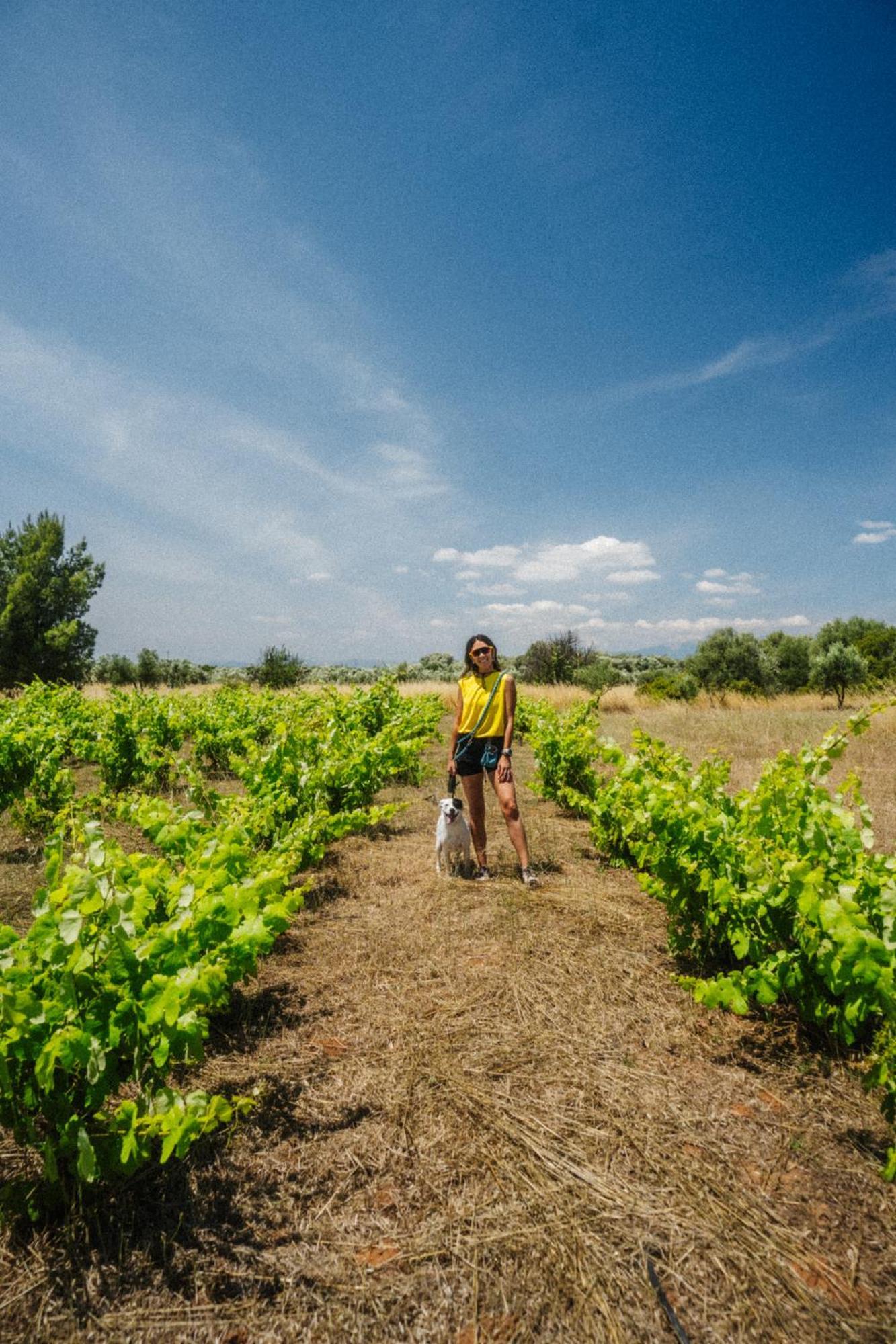 Готель Eumelia Organic Agrotourism Farm Gouvai Екстер'єр фото